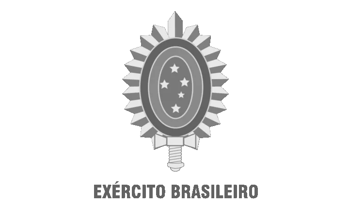 exercito cinza p